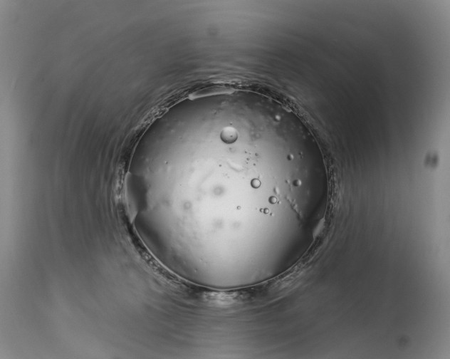 X0000115010273200911091427