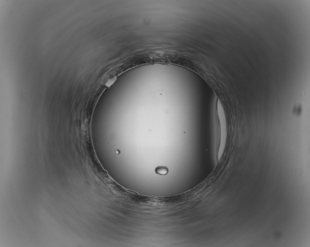 X0000115010276200911091427