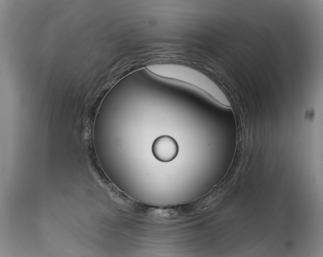 X0000115010277200911091427