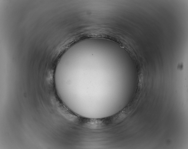 X0000115010278200911091427