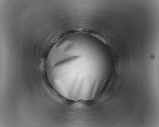 X0000115010280200911091427