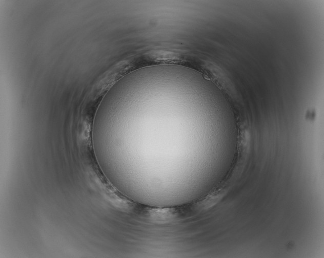 X0000115010281200911091427