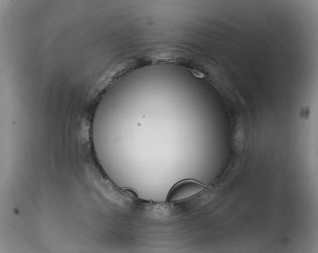 X0000115010282200911091427