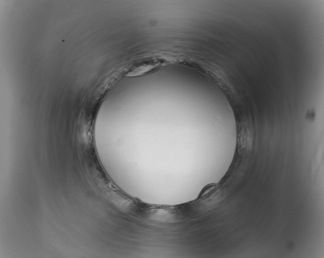 X0000115010285200911091427