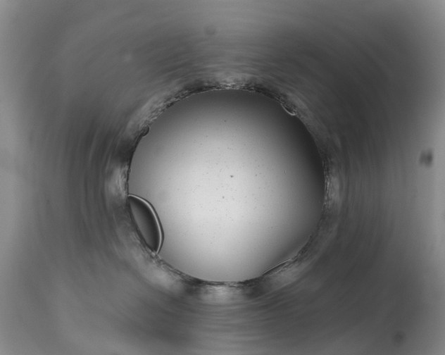 X0000115010286200911091427