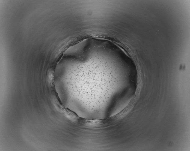 X0000115010288200911091427