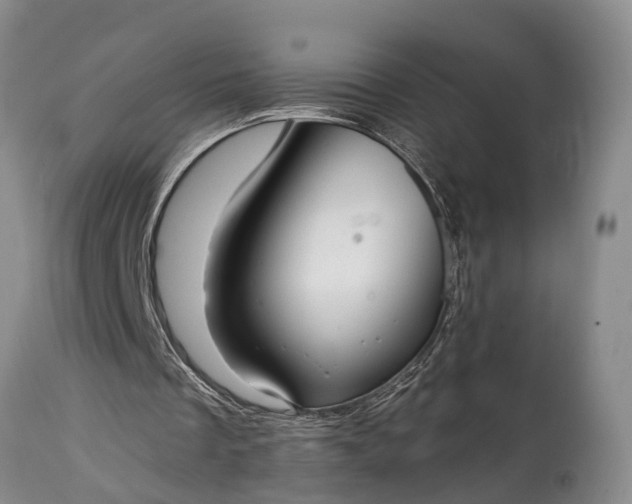 X0000115010289200911091427