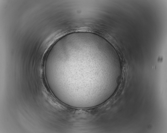X0000115010290200911091427