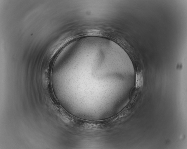 X0000115010291200911091427