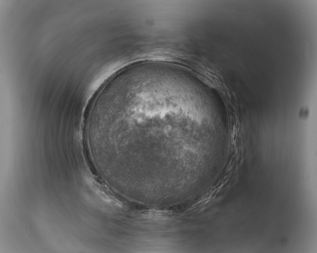 X0000115010292200911091427