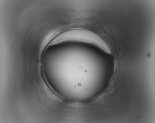 X0000115010293200911091427