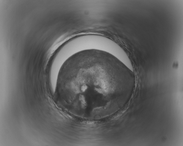 X0000115010295200911091427