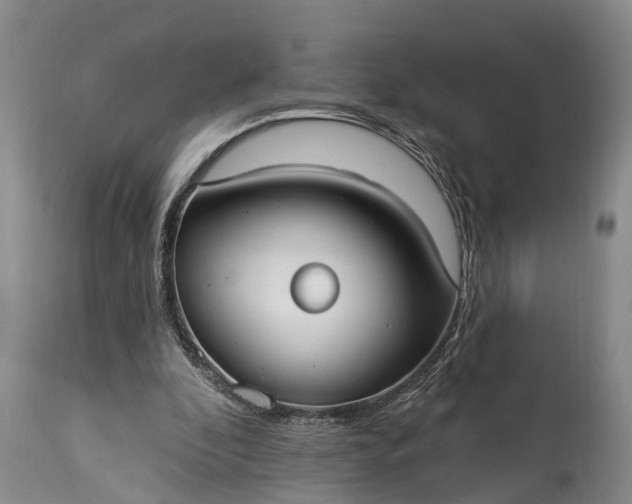 X0000115010296200911091427