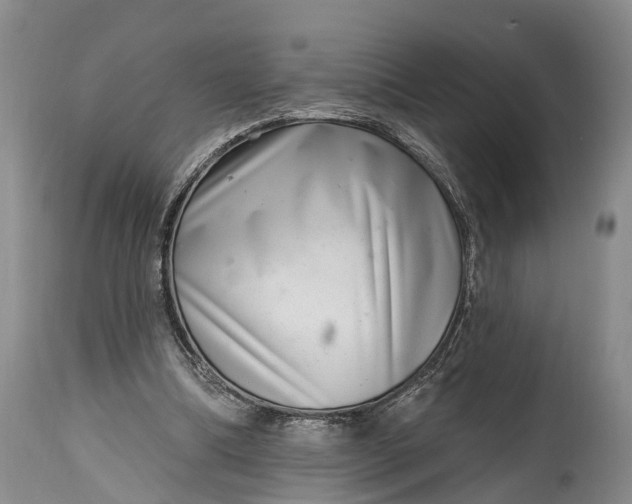 X0000115010298200911091426