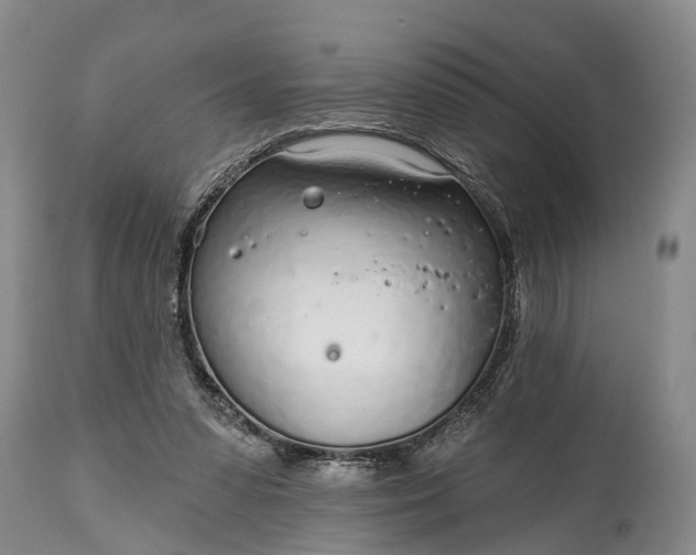 X0000115010303200911091426
