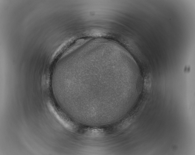 X0000115010304200911091426