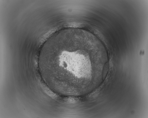 X0000115010305200911091426
