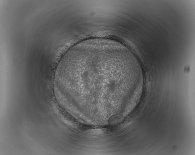 X0000115010307200911091426