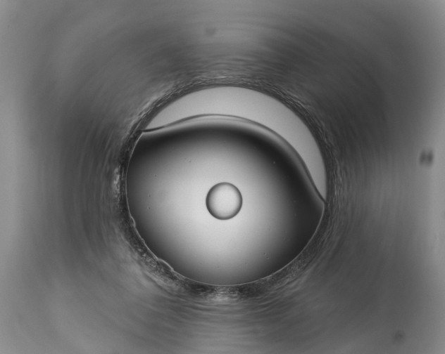 X0000115010308200911091426