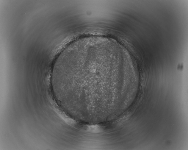 X0000115010309200911091426