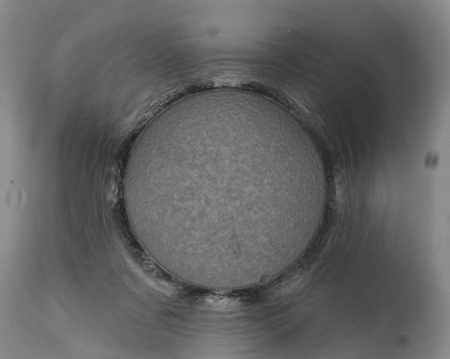 X0000115010311200911091426