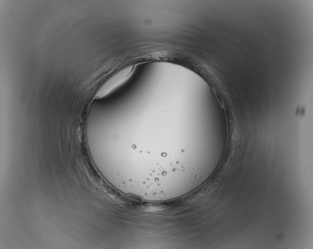 X0000115010313200911091426