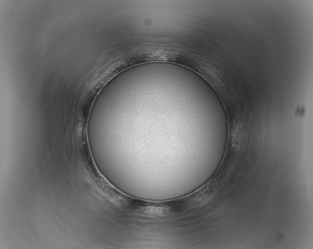 X0000115010314200911091426