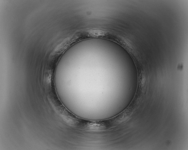 X0000115010315200911091426