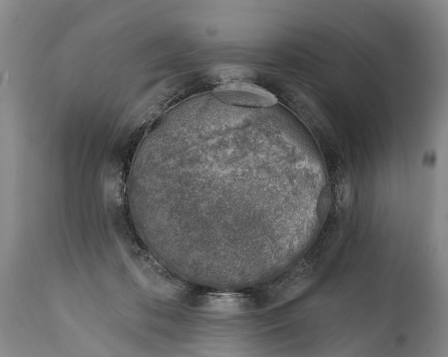 X0000115010316200911091426