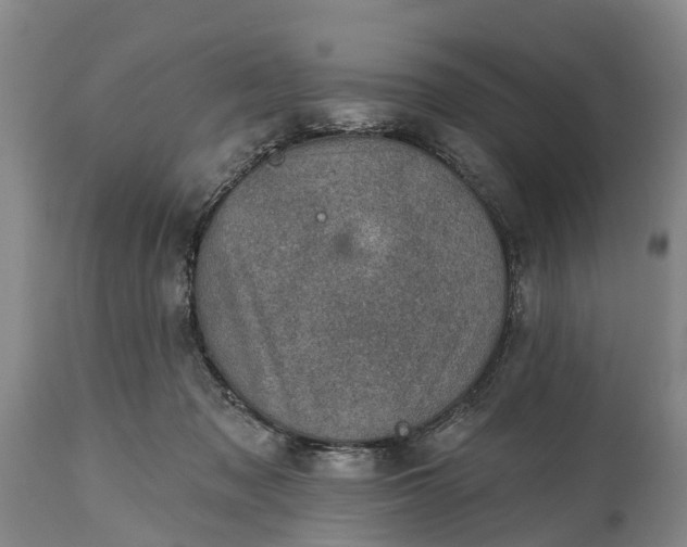 X0000115010317200911091426