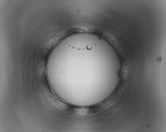X0000115010318200911091426