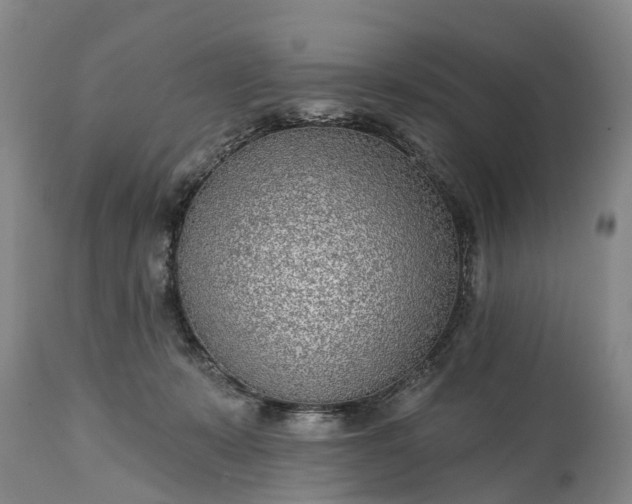 X0000115010319200911091426