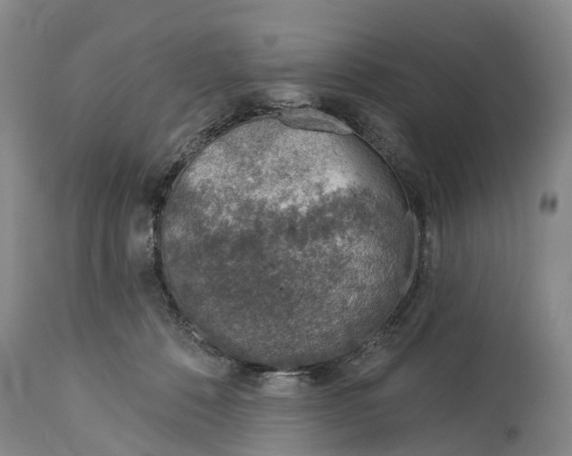 X0000115010320200911091426