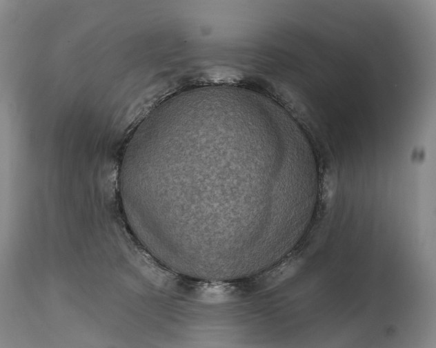 X0000115010321200911091426