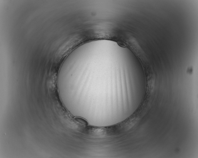 X0000115010325200911091426