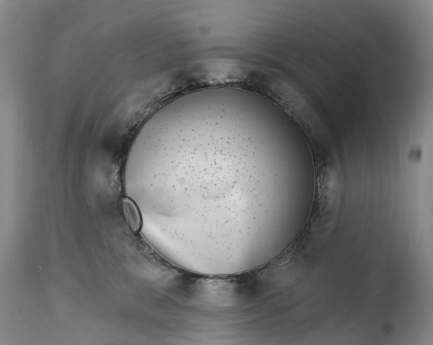 X0000115010327200911091426
