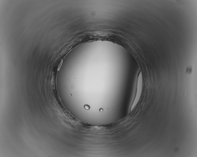 X0000115010328200911091426