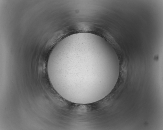 X0000115010330200911091426