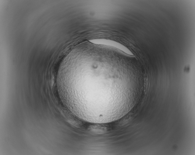 X0000115010331200911091426