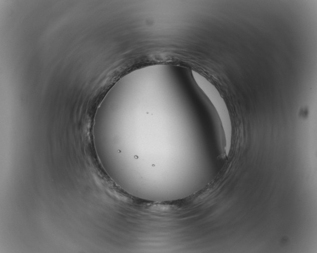 X0000115010332200911091426