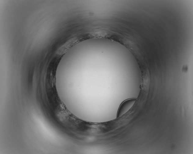 X0000115010334200911091426
