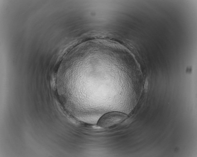 X0000115010335200911091426