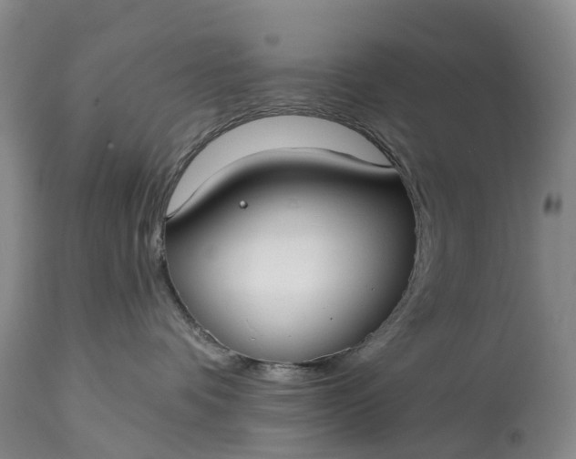 X0000115010336200911091426