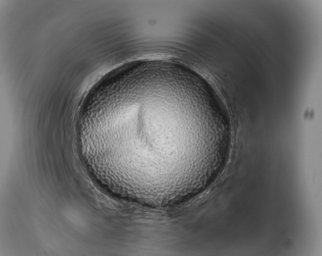 X0000115010337200911091425