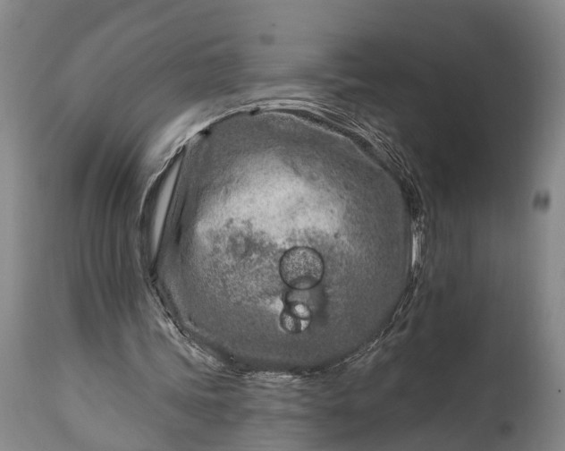 X0000115010339200911091425