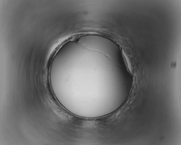 X0000115010342200911091425