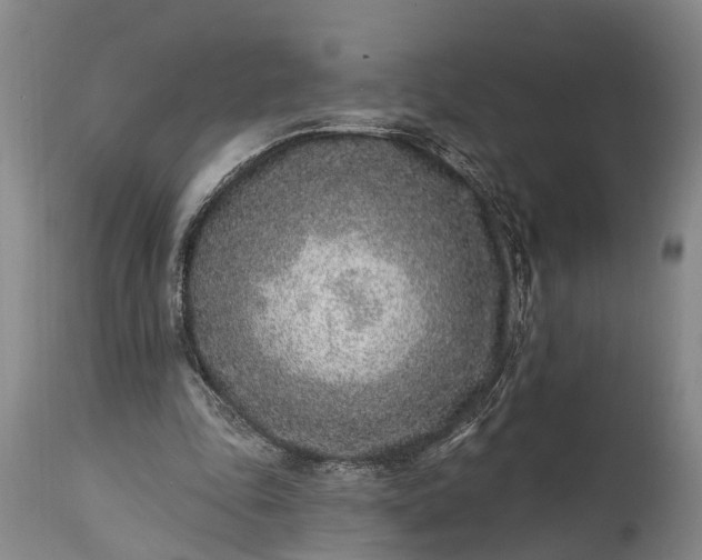 X0000115010343200911091425