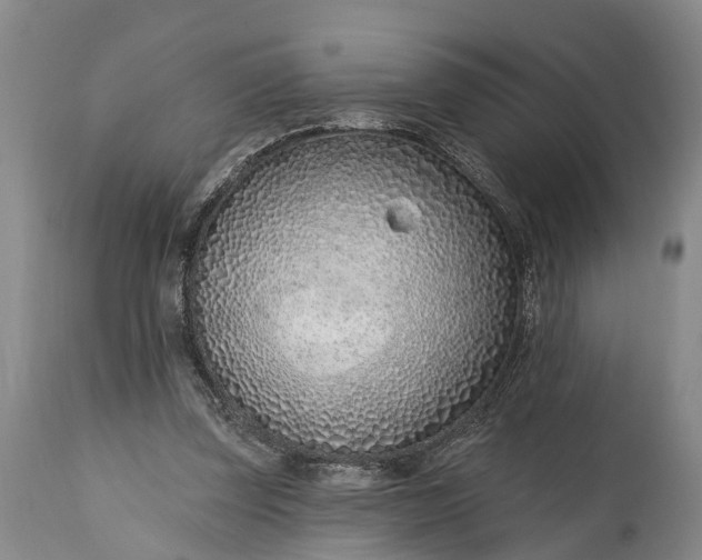 X0000115010347200911091425