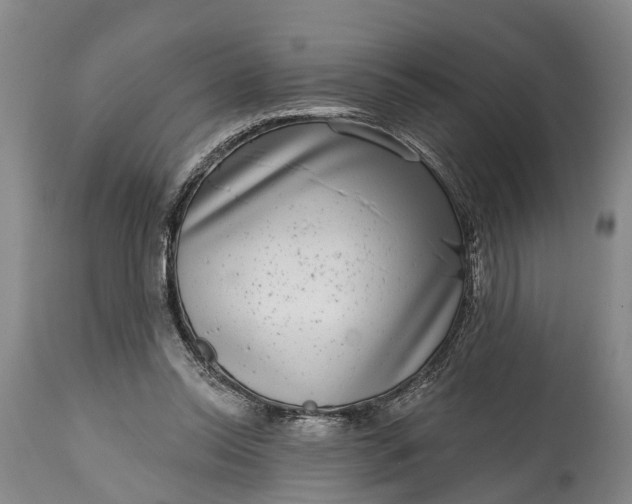 X0000115010350200911091425