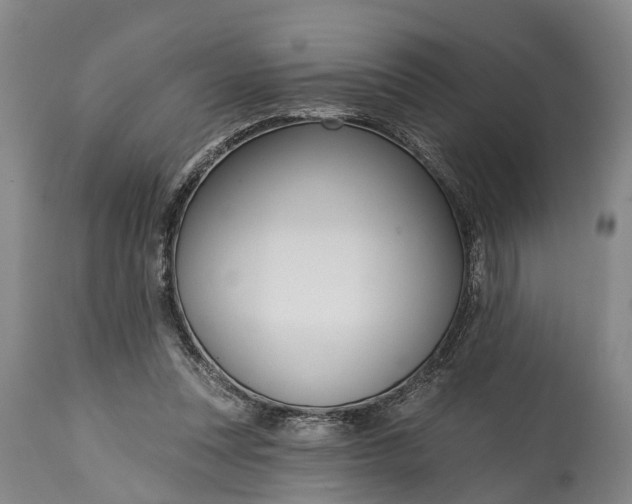 X0000115010351200911091425